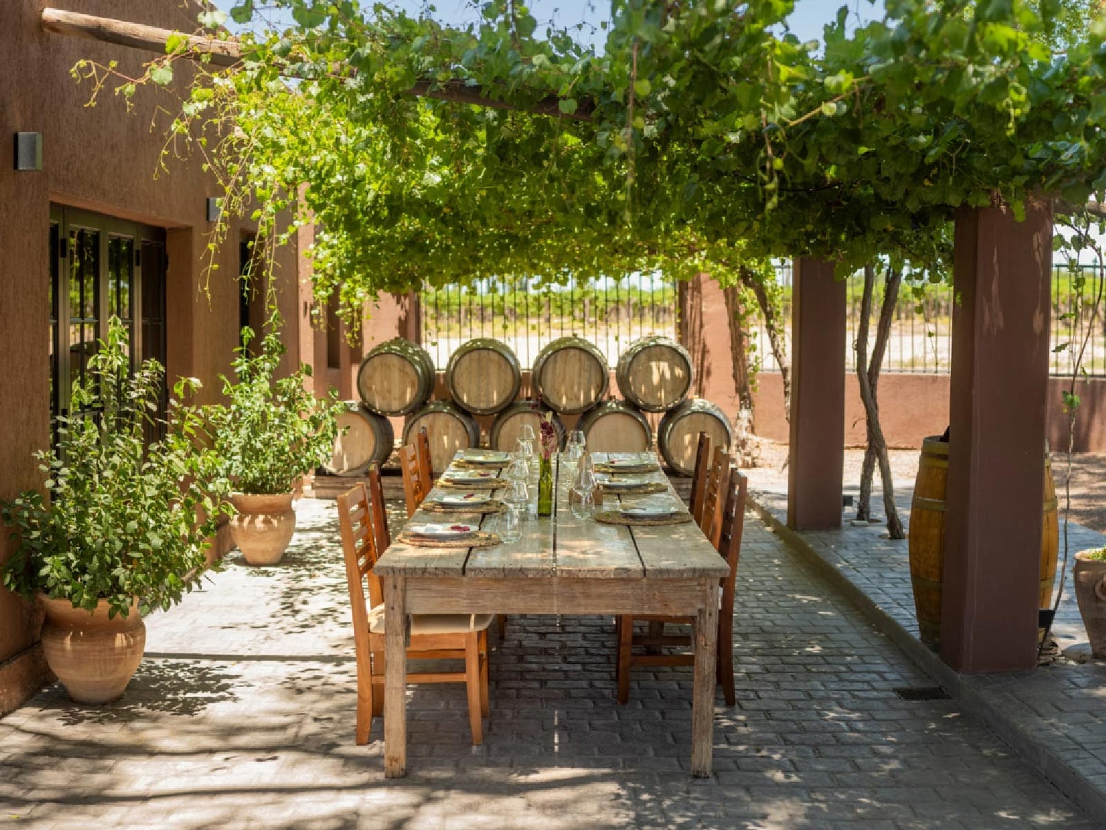Patio de la Bodega Pascual Toso en Barrancas, Maipú, Mendoza, con barricas bajo la parra